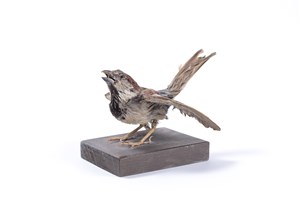 Image description is not available for 2011.2.2